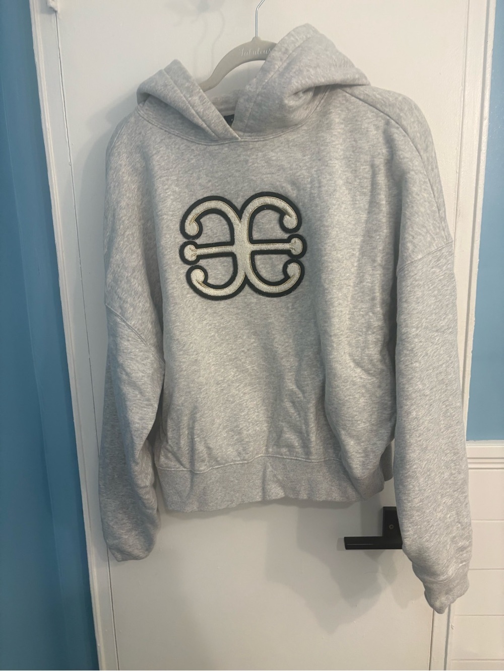 Express Light Gray Hooded Sweatshirt with Center Logo
